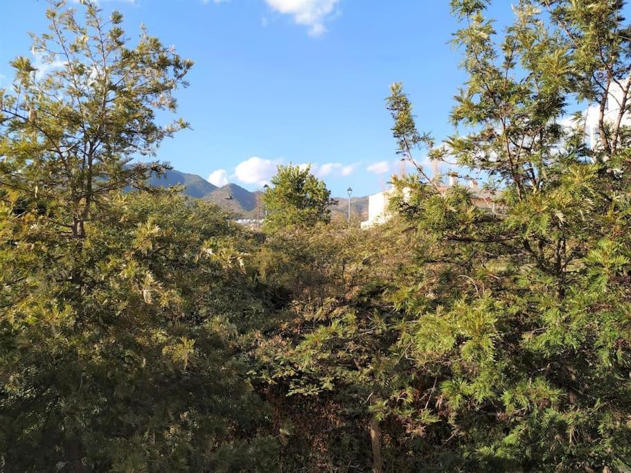 Brisa Quebrada Beach, 2 Bed, Sea Views, Pool 贝纳尔马德纳 外观 照片